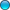 Button Button